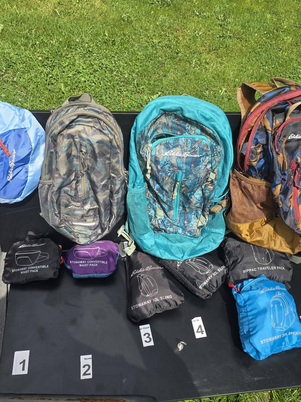 Eddie Bauer Teal & Blue Patterned Backpack